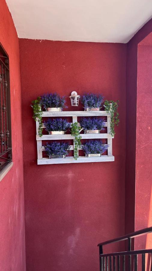 Apartamento Praderas Pantano San Juan Primera Planta Pelayos de la Presa エクステリア 写真